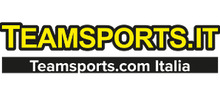 Logo Teamsport