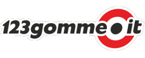 Logo 123gomme